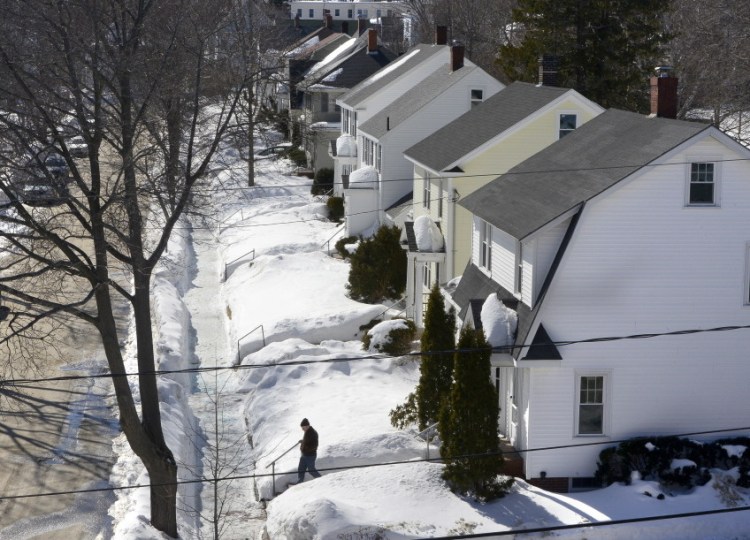 Five of the properties known as the "white houses" are on Chamberlain Avenue near USM’s Portland campus.