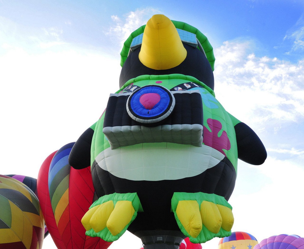 The Great Falls Balloon Festival also helps nonprofits to raise money at food stalls.