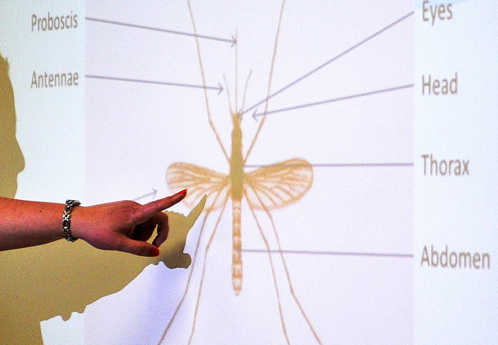 Maine Center for Disease Control epidemiologist Sara Robinson describes the anatomy of a mosquito to students at Farrington Elementary School in Augusta last week.