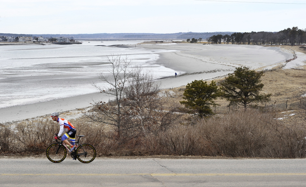 Sand cleared from the Scarborough River’s navigational channel has replenished Western Beach, seen here off Black Point Road, creating a win-win situation for everyone – including piping plovers – who uses the popular spot this summer, local and federal officials say.