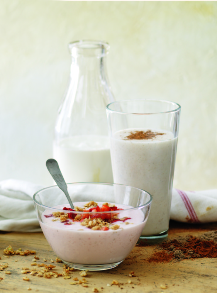 Francine Zaslow photos/francinezaslow.com
The unflavored vegan almond yogurt drink, the strawberry yogurt drink (in the bowl) and the Chai-Chi yogurt drink from Maine author Stephanie Tourles’ “Raw Energy in a Glass” all can be made at home and contain probiotics.