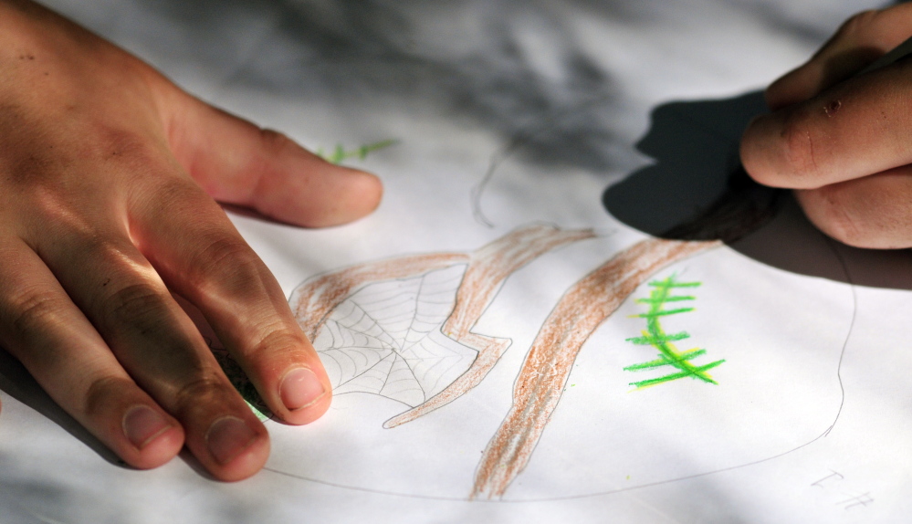 Breckon Davidson draws a spider web and other things she found during the “map your kingdom” exercise Friday as part of the Forestry Day events in China.