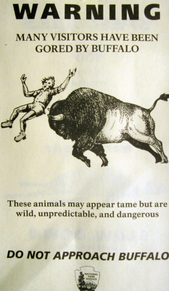 A pamphlet distributed by the National Park Service to people entering Yellowstone National Park warns visitors not to get too close to bison, also known as buffalo, which can weigh up to 2,000 pounds and sprint three times faster than a person. The Associated Press