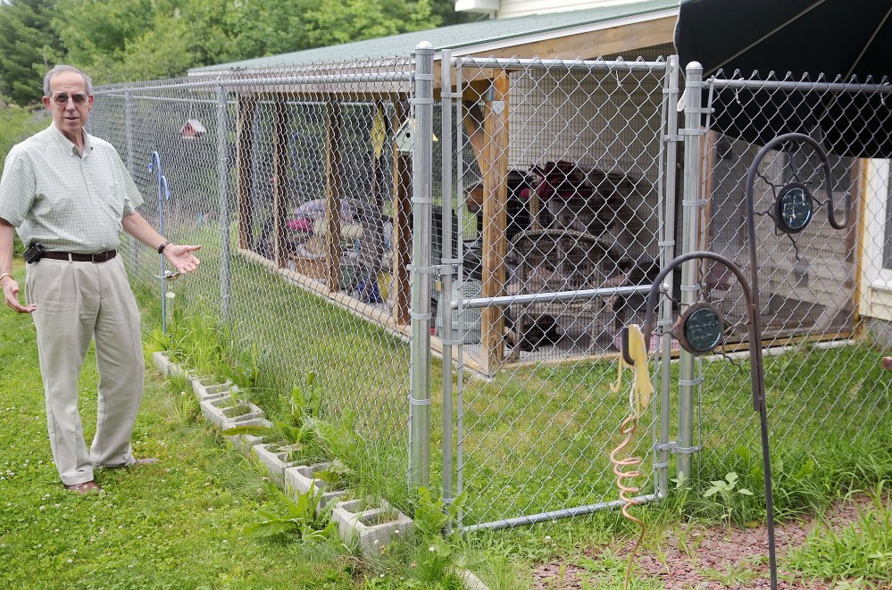 Paul Lariviere, board vice president of the PALS animal shelter in Winthrop, said Tuesday that the nonprofit hopes to raise money to build a paved walkway for felines within the enclosed outdoor area of the no-kill shelter.