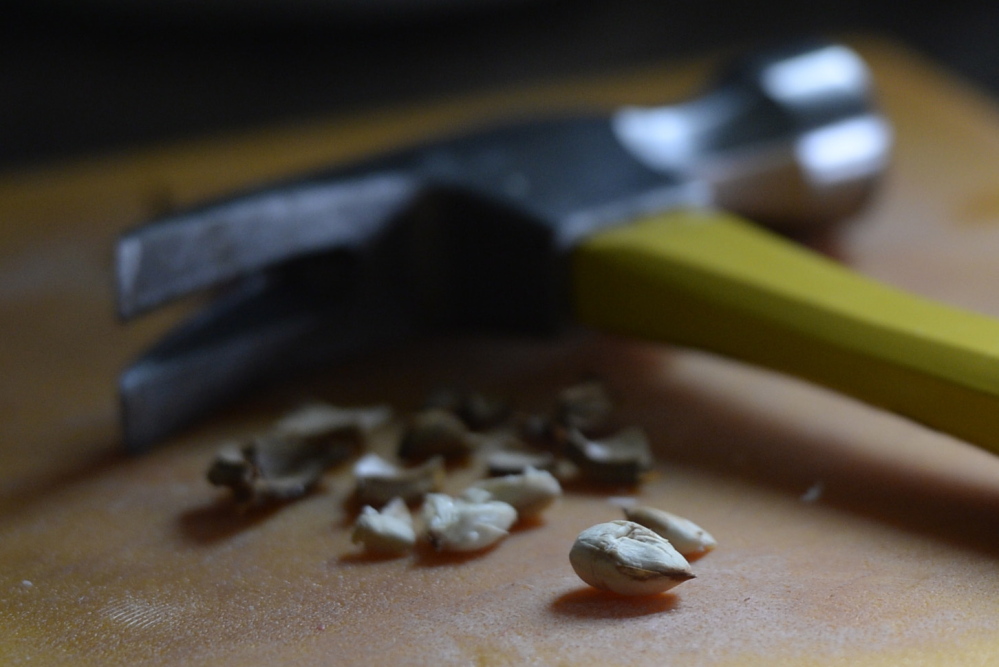 To get the apricot kernel, you must smash the pit with a hammer (or use a nut cracker).