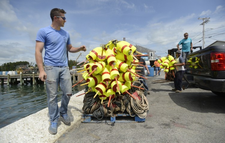 Lobsterman Cyrus Sleeper unloads gear on a wharf at Atwood Lobster in South Thomaston last week. The state’s 4,500 commercial fishermen are waiting for lobsters to migrate to the coast and shed the hard shells they’ve been carrying all winter.