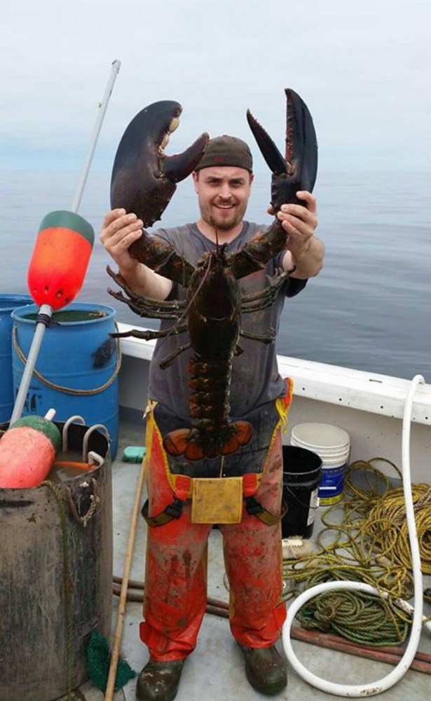 Ricky Louis Felice Jr. of Cushing poses with the giant lobster that the crew of a boat he was a deckhand on caught, then released, off the coast of Maine. Felice is 5 feet, 10 inches tall.
Courtesy Isaac Lash


