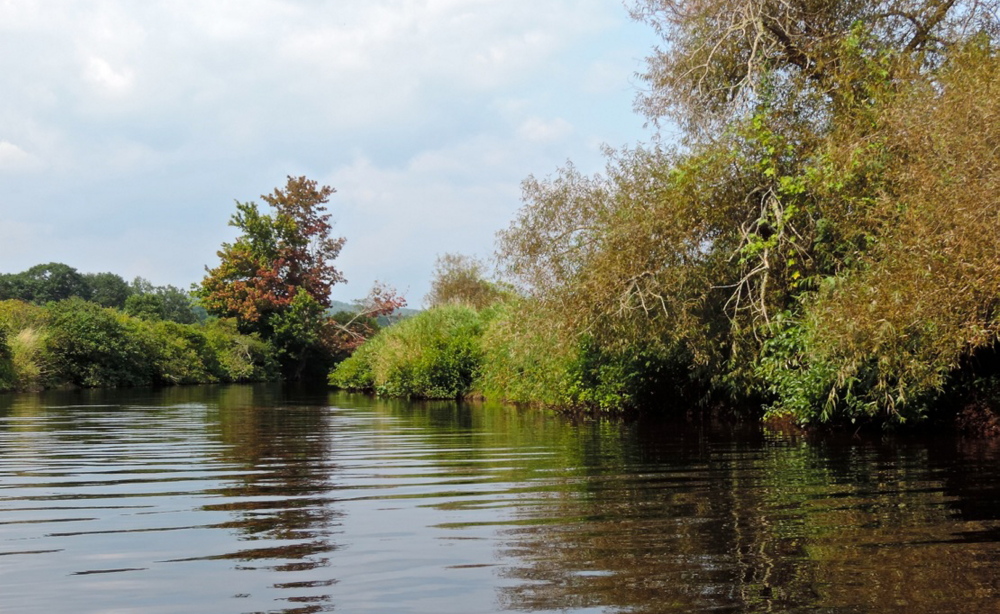 Despite the high temperatures of early September, fall colors began to show on a paddle that included the St. George River entrance into Round Pond.