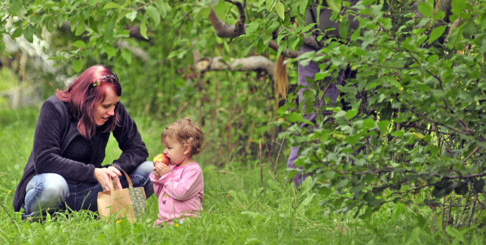 Alex Brokordt chats with Aravis Epley as the 2-year-old’s mother, Christina Epley, picks apples Tuesday at Lakeside Orchards in Manchester. The state’s apple harvest is running late.