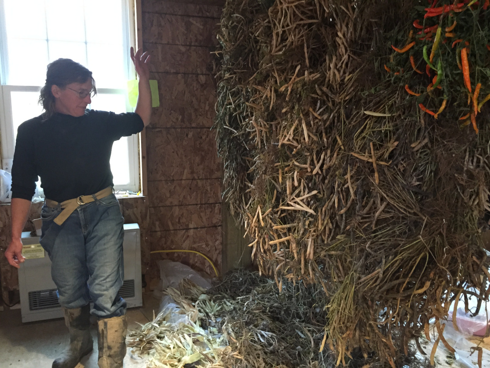 Deborah Chadbourne, of Rasmussen Farm in Freeman Township, hung summer beans to dry that she will sell at the Winter Market.