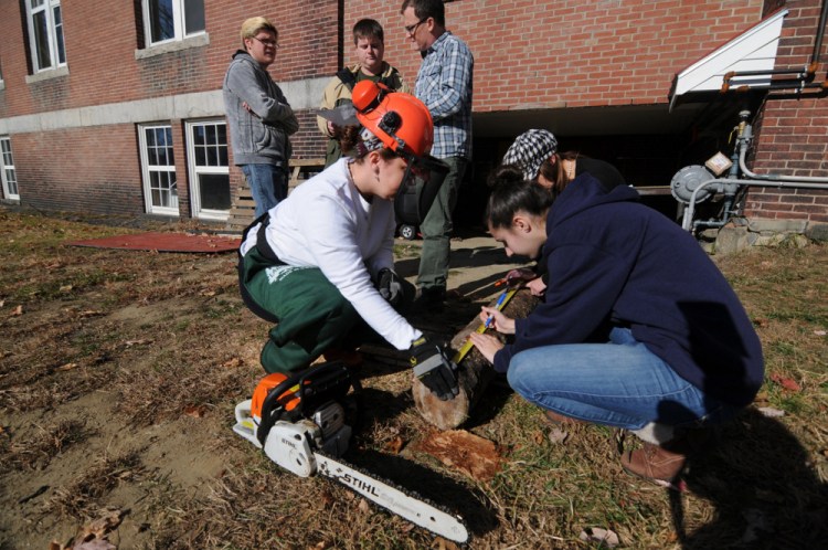 Students from professor Matt McCourt’s land use class cut slices of tree stumps that will be used as elements of a nature-based play area for UMF’s early education program.