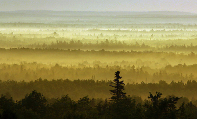 The woods are backlit by the morning sun near Patten. Supporters of the North Woods national monument, composed of land largely donated by conservationist Roxanne Quimby, say it will draw tourists to an economically challenged part of the state. Opponents of the monument had argued it would interfere with snowmobiling and hunting, and could squelch business development.