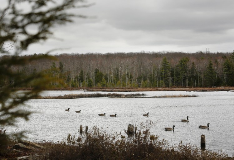 After Gov. Paul LePage withheld about $11 million in bonds for land conservation until the Legislature backed his proposal to expand logging on public lands, two groups put up $200,000 to preserve Knight’s Pond and Blueberry Hill in North Yarmouth and Cumberland. A task force’s opposition now makes it less likely that legislators will consent to LePage’s plan.
2015 Press Herald file photo/Derek Davis