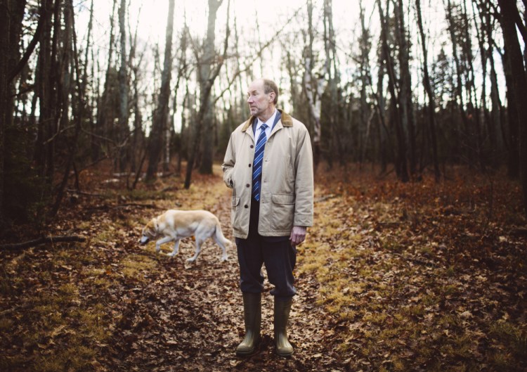 Mike Duddy spends time in the Cape Elizabeth woods with his dog Scout. The arborist and licensed forester worries that recent warm days will rev up the winter moth’s mating season and result in a widespread defoliation next spring, similar to what occurred in 2012-13.