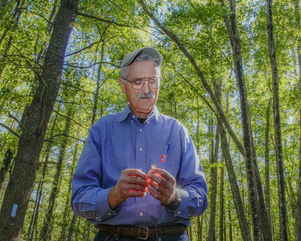 Biologist Jerry Longcore holds a stem of Canada Mayflower as he stands on part of the land under the supervision of the Orono Land Trust at Piney Knoll in Orono. “In contrast to what people say, a land trust is a blue-collar organization,” said Longcore.