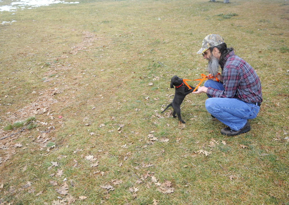Rick Langer, of Augusta, plays on the grass Monday at the Gardiner Waterfront with his new puppy, Morphie.  Langer picked up the eight-week-old lab yesterday.