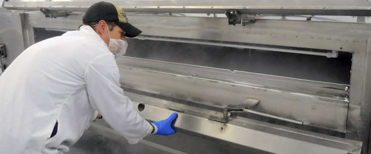 Butcher Moe Howard examines the interior of the flash freezer tunnel Monday at Central Maine Meats in Gardiner.