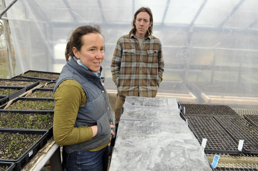 Dalziel Lewis, of Dig Deep Farm, and Jon Strieff, of Good Morning Farm, answer questions during an interview on Friday in South China.