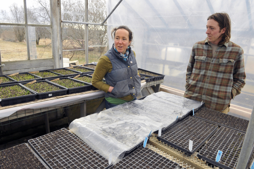 Dalziel Lewis, of Dig Deep Farm, and Jon Strieff, of Good Morning Farm, answer questions during an interview on Friday in South China.