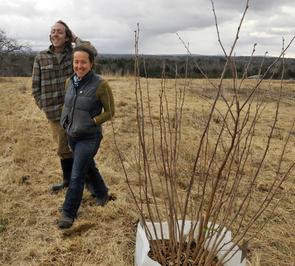 Jon Strieff, of Good Morning Farm, left, and Dalziel Lewis, of Dig Deep Farm, walk past a hazelnut tree during an interview on Friday in South China.