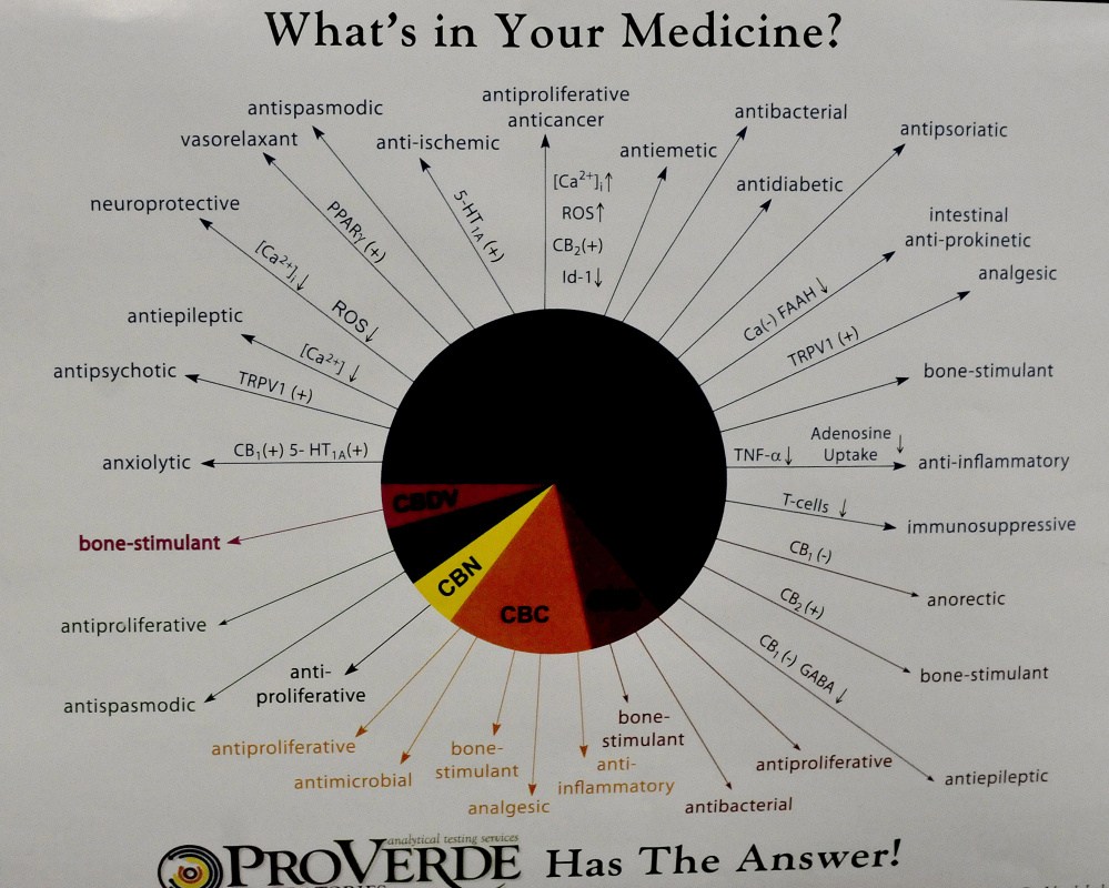 A poster at East Coast CBDs in Unity lists ailments that it says the use of the company's marijuana products can alleviate.