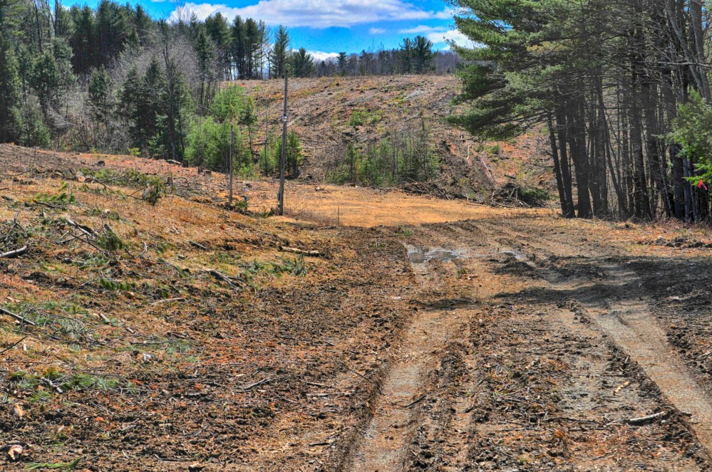 This lot between Civic Center Drive and Gaywalk Street in Augusta has been clear-cut, and a developer is asking the city to allow it to be developed for commercial uses.
