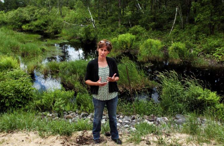 Jennifer Irving, executive director of Sebasticook Regional Land Trust, speaks about the newly acquired 150 acres of land along Route 139 in Unity that will help connect two parts of a 1,500-acre land reserve.