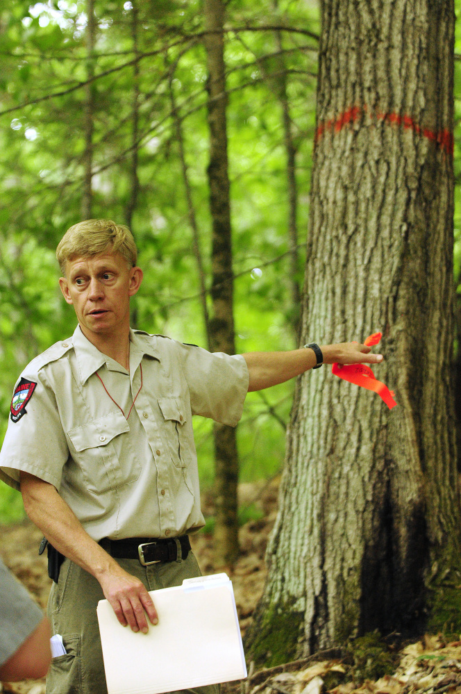 Department of Inland Fisheries and Wildlife Forester Eric Hoar leads a tour Tuesday of areas that will be cut at Jamies Pond Wildlife Management Area in Hallowell.