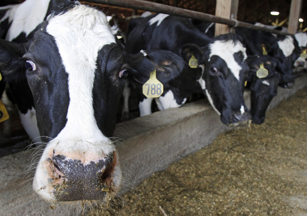 An oversupply of milk in the U.S. and around the world has caused milk prices paid to farmers to fall below production costs for months.