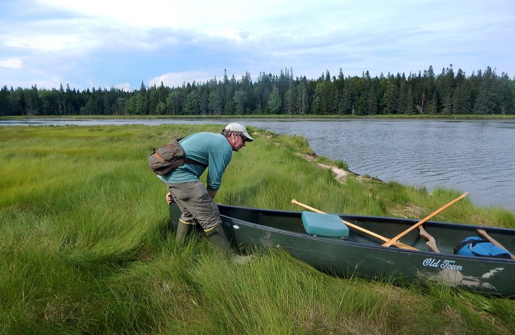 Glen Mittelhauser is the founder of the Maine Natural History Observatory and author of guides to the plants of Acadia and now, the Plants of Baxter State Park (it comes out this August). 