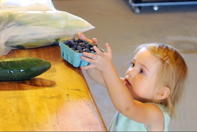 Addison Rogers, 2, of West Gardiner, collects a pint of blueberries from the stand at the Applewald Farm in Litchfield during Open Farm Day on Sunday.