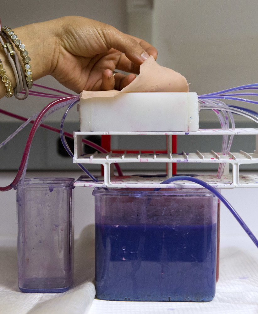 Afrouz Anderson of the National Institute of Child Health and Human Development demonstrates a model of a human placenta.