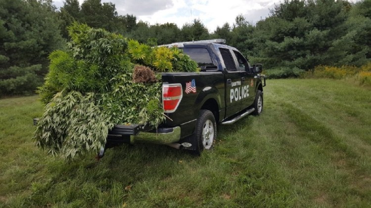 Police seized more than 80 large marijuana plants and 50 cloned marijuana plants Thursday at 69 Lisbon Road in Sabattus.