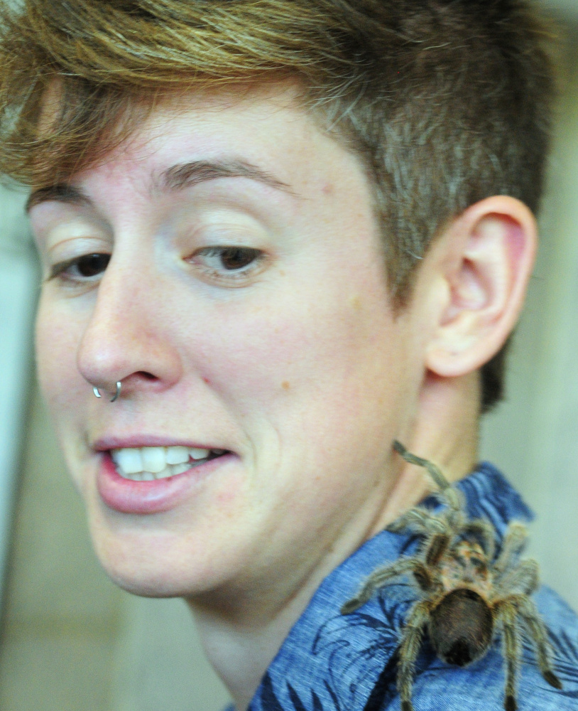 A tarantula crawls up Spurwink School teacher Ari Leach's neck during Bug Maine-ia on Tuesday at the Maine State Museum in Augusta.