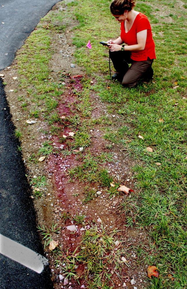 Unity College student Sally Carullo records a GPS setting beside a test area where water run-off on campus passes over a bag of red dye to visually determine the strength of water runoff on campus Monday. The class research project is trying to determine if surface water is entering the sewerage pipeline that carries sewerage to the Unity Utilities District.