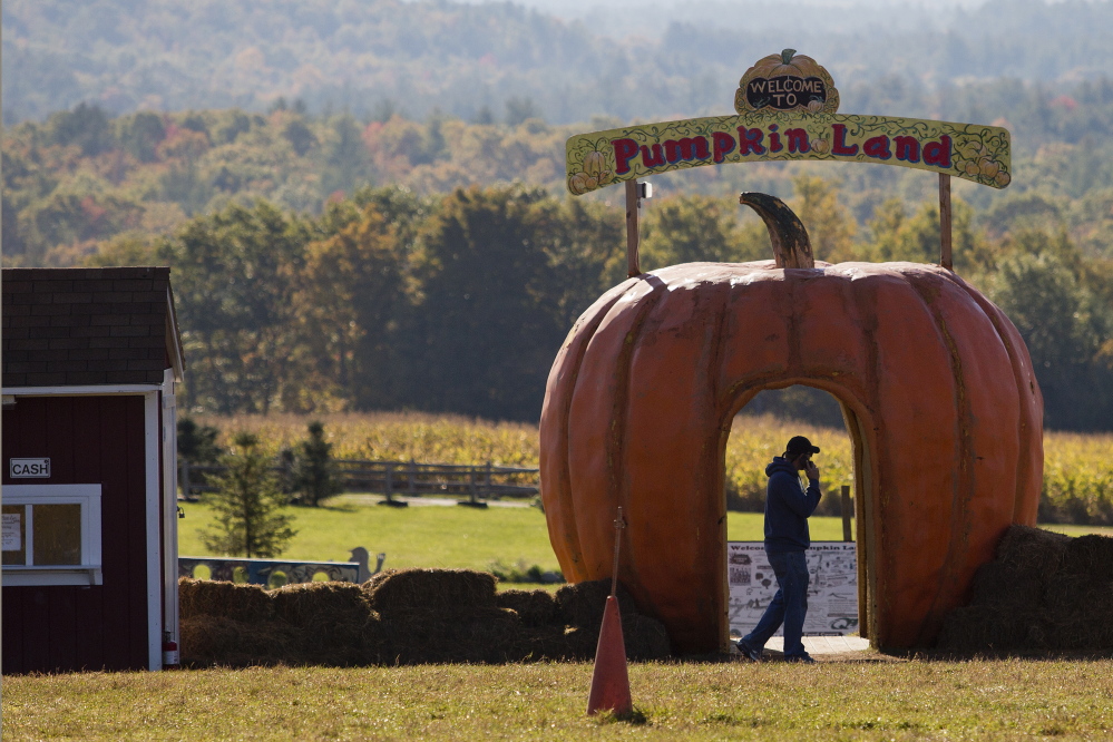 A man is silhouetted against the cutout of a pumpkin as he talks on his cell phone at Harvest Hill Farms in Mechanic Falls on Route 126 Oct. 12, 2014, the morning after the hayride accident that killed Cassidy Charette, 17, of Oakland and injured more than 20 others.