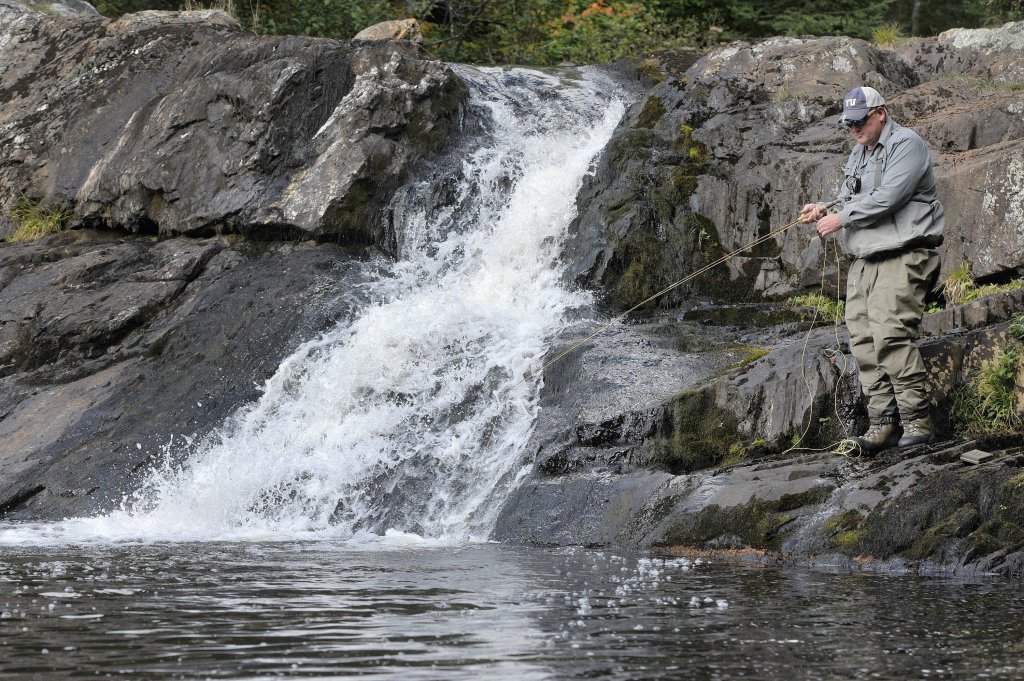 A waterfall on Cold Stream. 