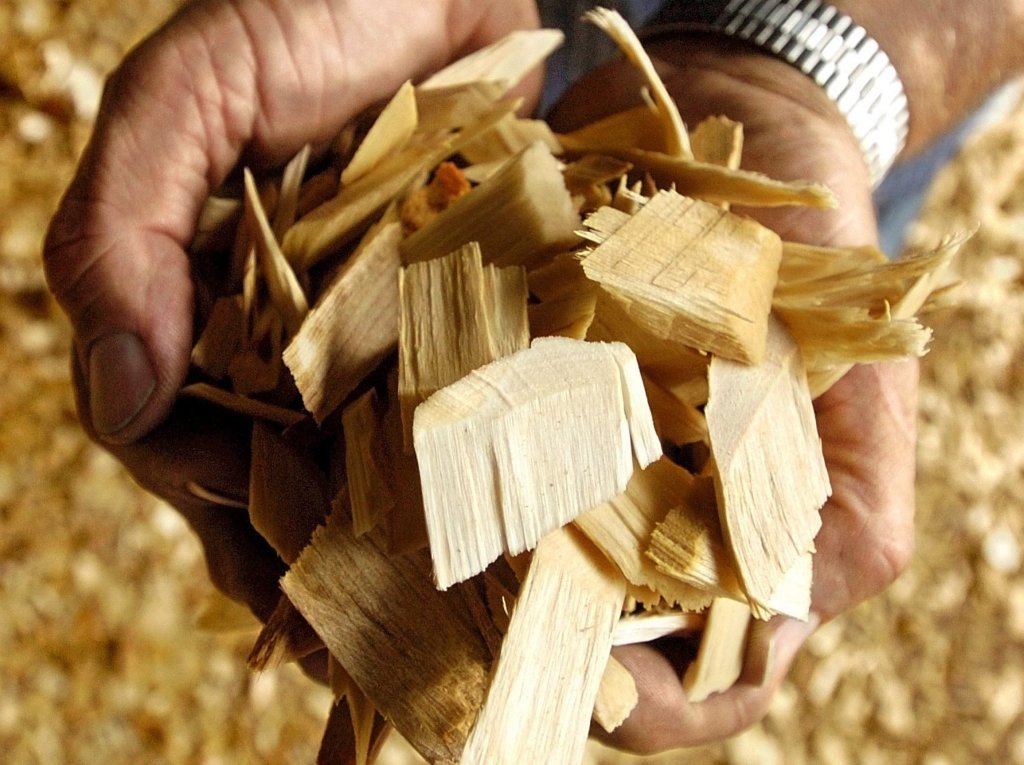 European Union regulations require all imported wood to be heat-treated to kill bugs. In Eastport, the port authority has been working with others to develop a system of heating the wood after it’s loaded into the hulls of chip carriers.
Morning Sentinel file photo