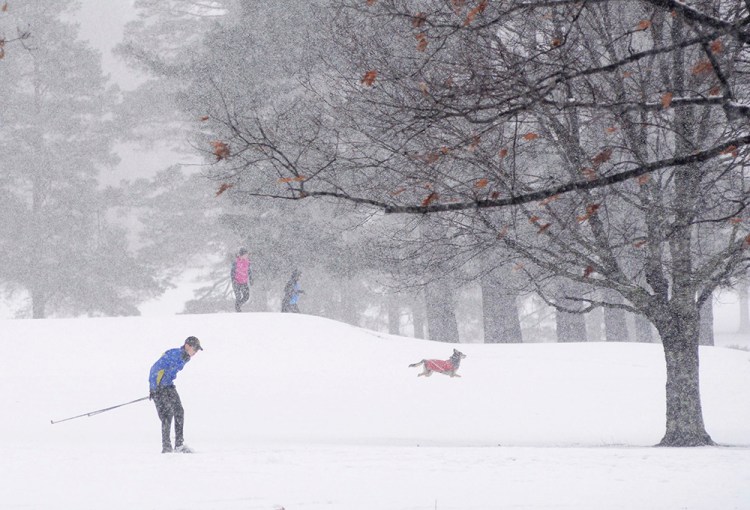 A cross-country skier is among the people and pets enjoy the snow at the Taconic Golf Club in Williamstown, Mass., during a storm on Sunday. <em>Gillian Jones/The Berkshire Eagle via AP</em>