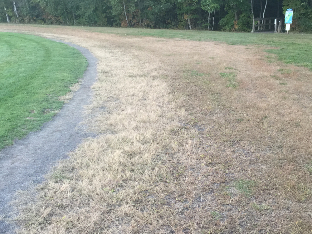 Messalonskee High School's current outdoor track, called the "dirt oval," will undergo soil testing for possible improvements.