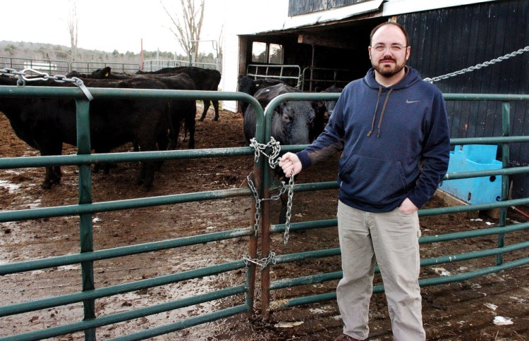 Farmer Mike Brown stands beside a chained gate Thursday at his Meadowbrook farm in China, where someone unchained and broke locks on the gate and let some of his Black Angus cattle escape from the pen recently. The farm is one of several in central Maine have been vandalized in recent weeks.