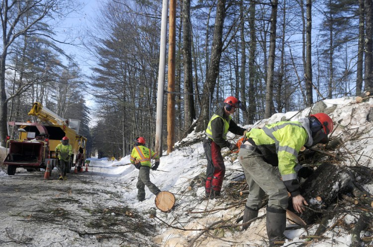 An arborist crew from Lucas Tree Experts collects limbs Wednesday from a tree they cut next to a new CMP electric service pole installed at a residence in Wayne.