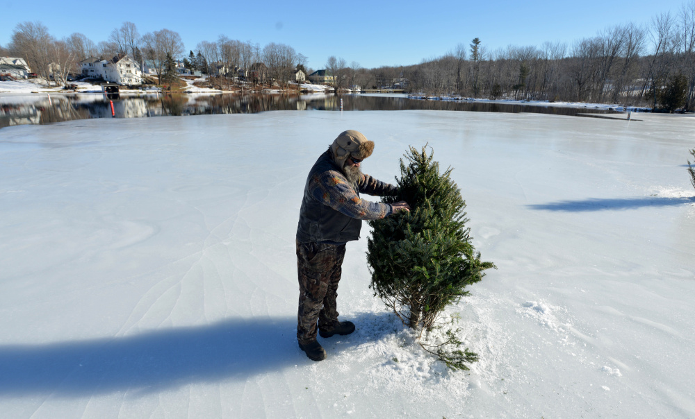Todd Jackson adjusts old Christmas trees along the north end of Messalonskee Lake in Oakland on Saturday. The trees were installed to warn people of the thin ice and open water.