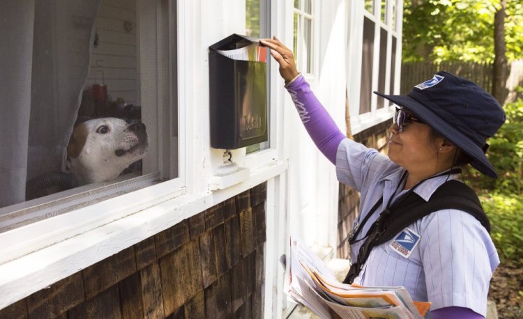 A window screen is all that separates postal carrier Zoraida Cook from a growling dog. Cook says she understands that dogs are usually just being protectors and "they are not sure what we are doing."