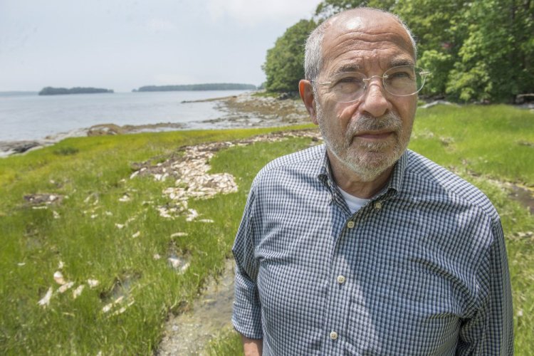 Frank Strasburger, a retired pastor who lives on a private road near Simpsons Point, said he first noticed the dead pogies a week ago Monday and that the smell "was so strong, I couldn't breathe." He was unhappy that the state didn't send anyone to help remove the fish.