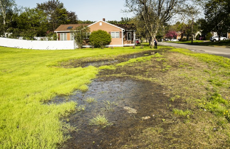 This photo taken in early May shows standing water in yards on Windsor Avenue in Augusta. Resident Jacquelyn Cyr said that water failed to properly drain after the construction of a new sidewalk.