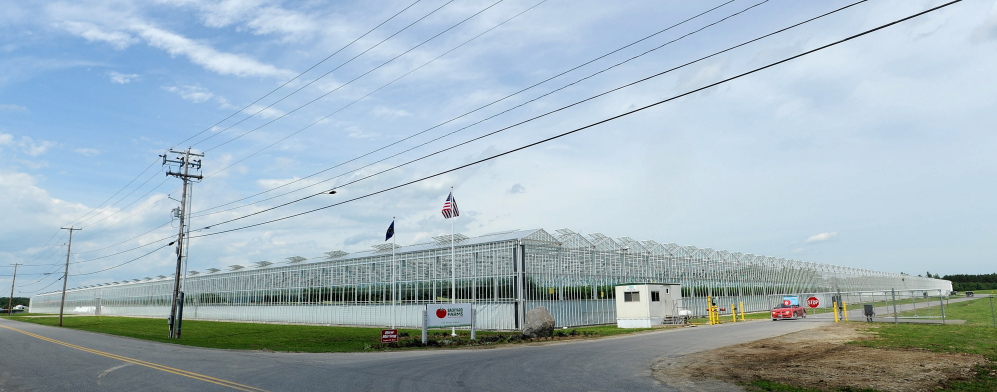 Madison tomato grower Backyard Farms has been purchased by a Canadian produce company.