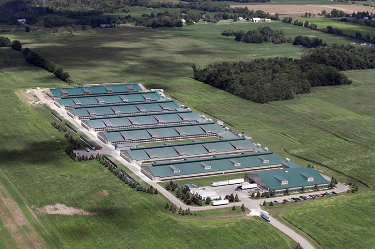 Herbruck's Poultry Ranch in Saranac, Michigan in 2014. Since this photo was taken by two barns have been added.