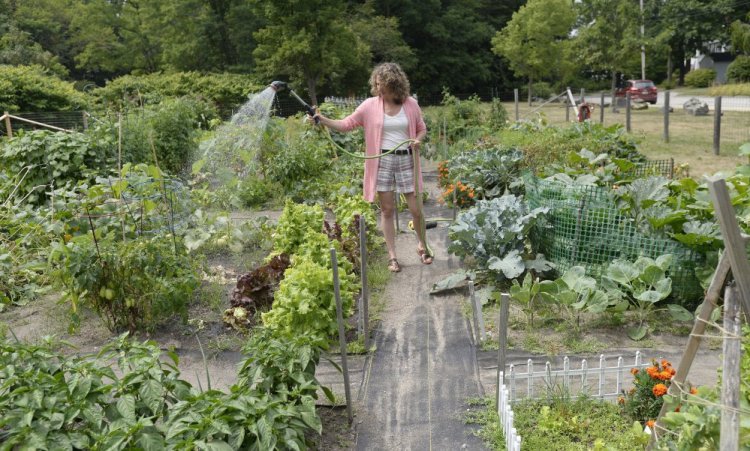 Jodi-marie McCarthy of Saco waters her garden plot at the Saco Community Garden.