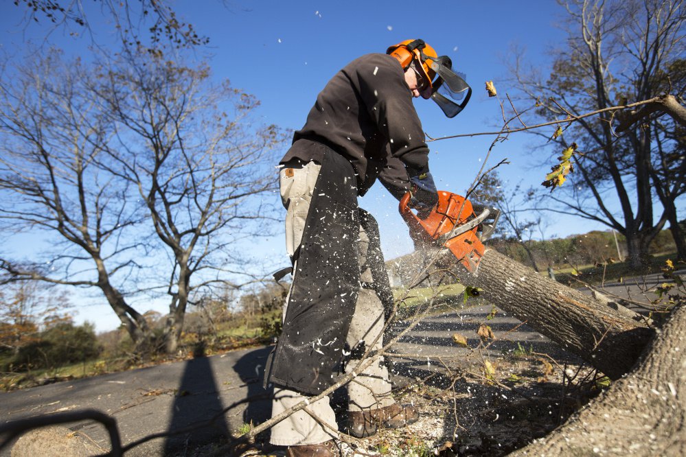 John Greene, property manager of Ram Island Farm in Cape Elizabeth, saws a downed tree to clear Charles E. Jordan Road on Tuesday.